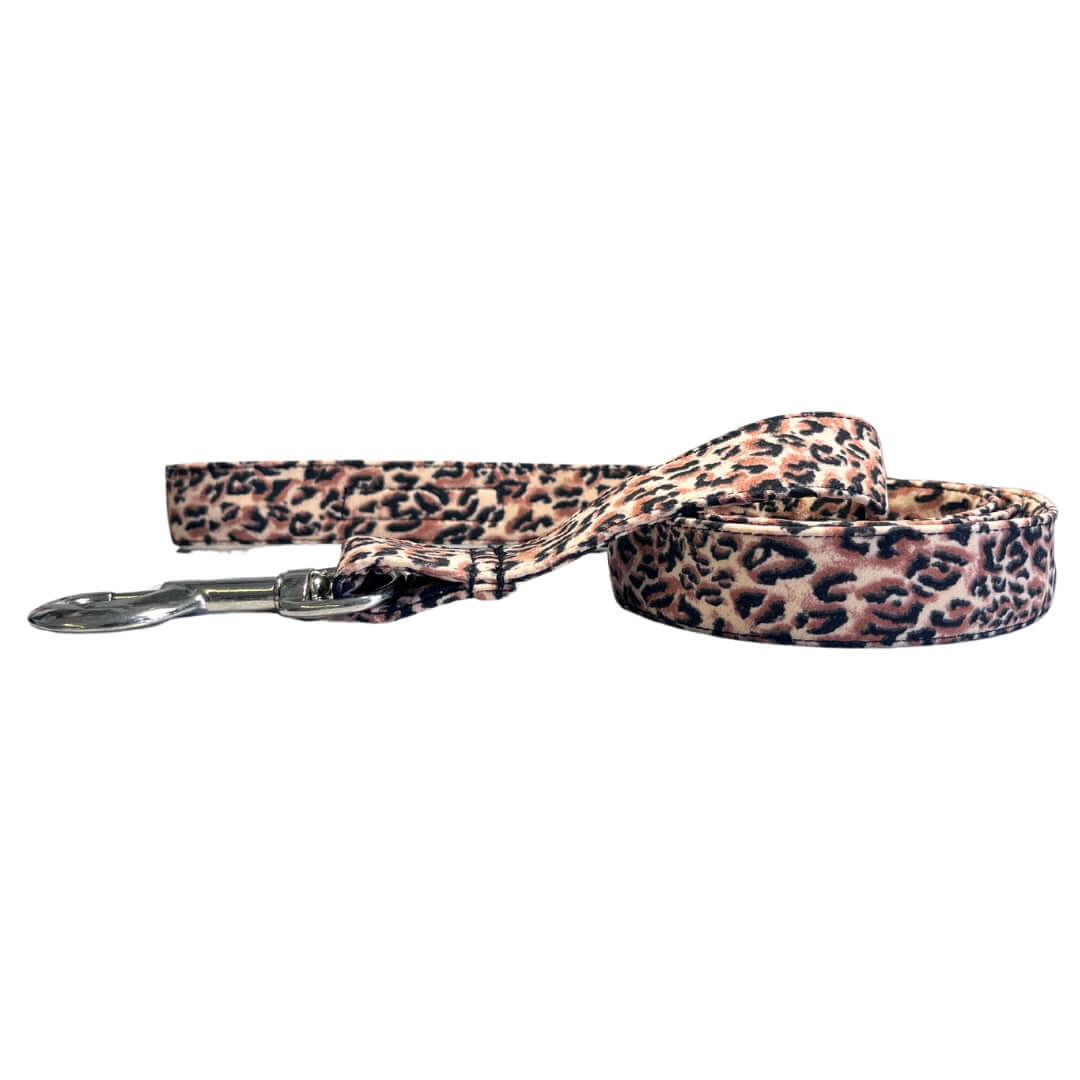 Conjunto paseo Perruno "Leopard"