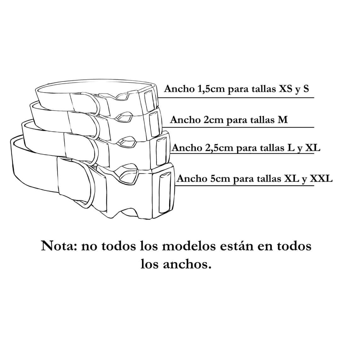 Collar para Perro "Azul Lord"