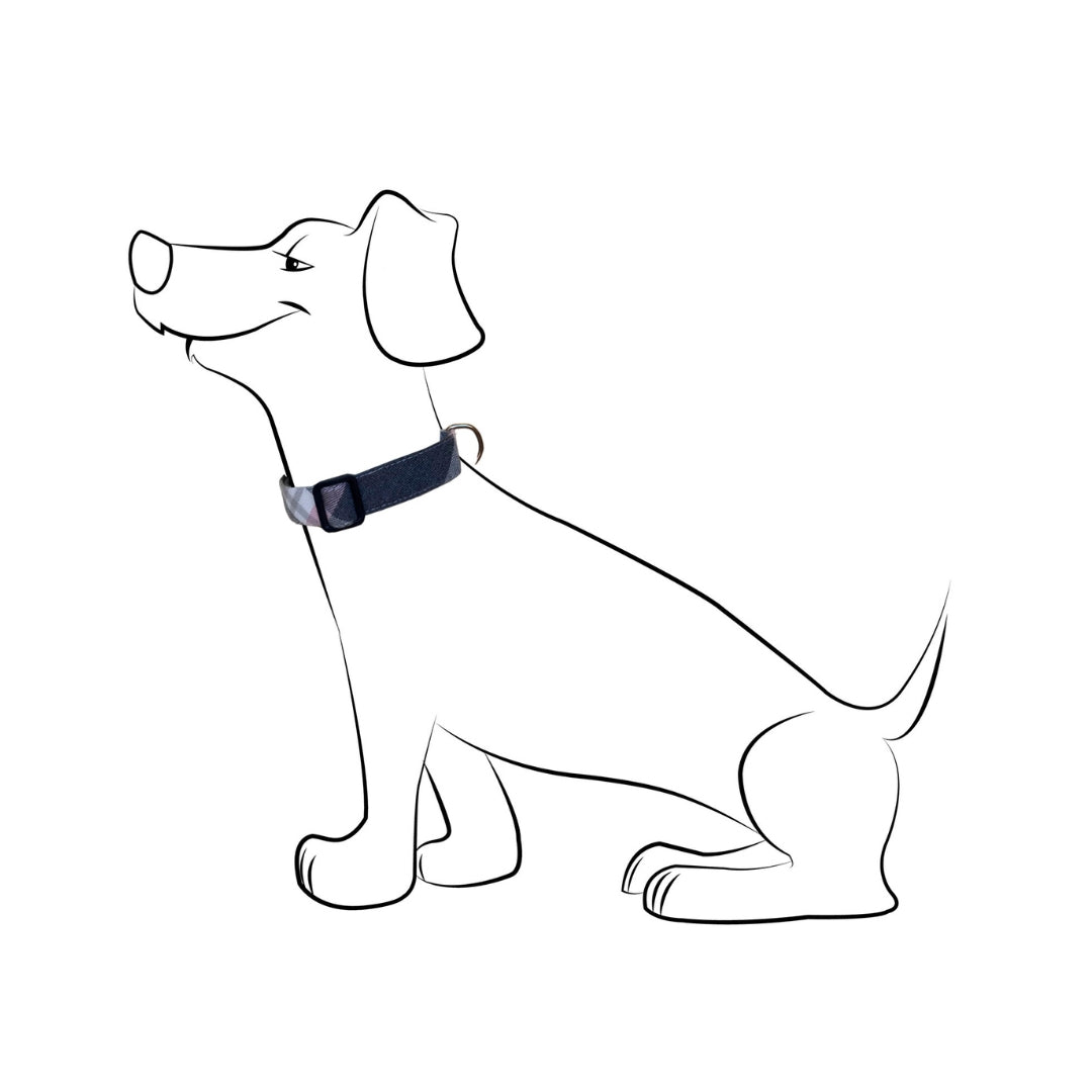 Collar para Perro "Tartán Gris"