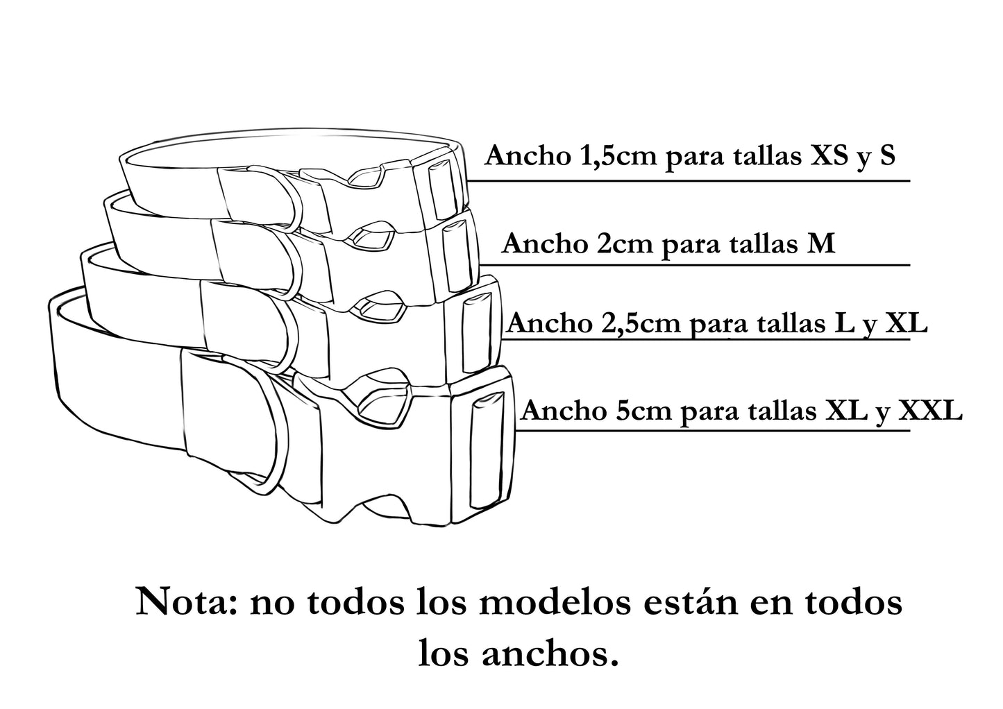 💀 Conjunto de Paseo Perruno – Modelo "Calaveras"