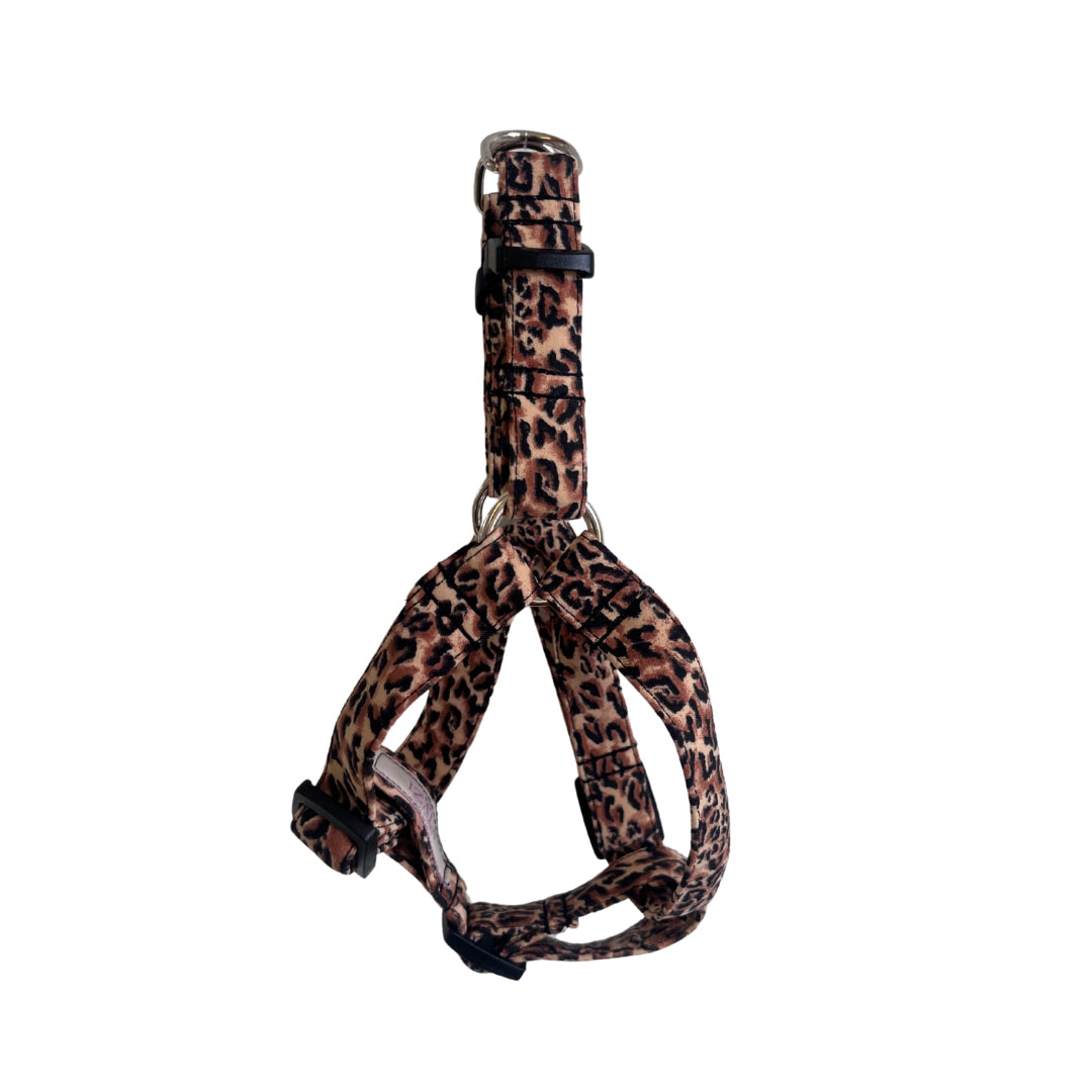 Arnés Perro - Modelo Cinta Leopard