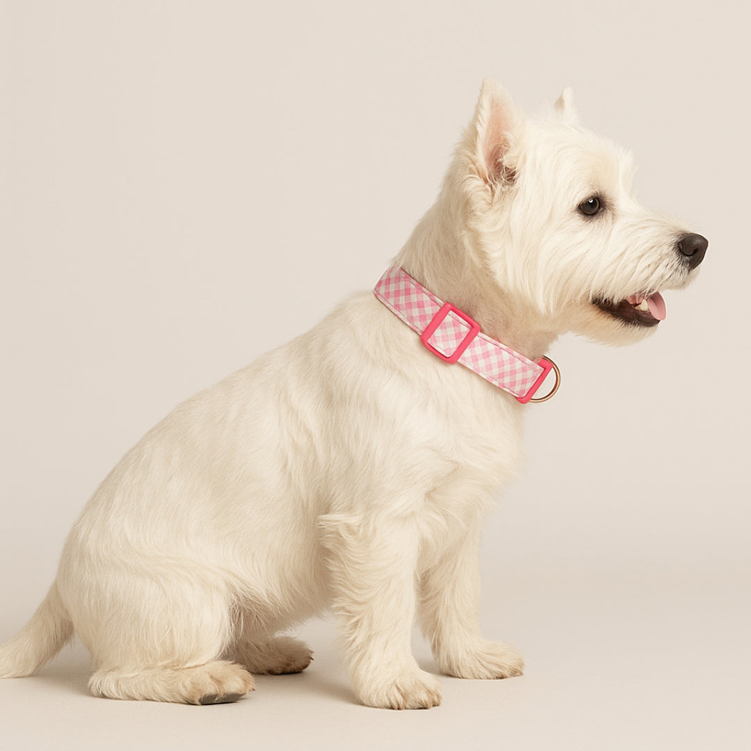 Hundehalsband "Vichy Pink"