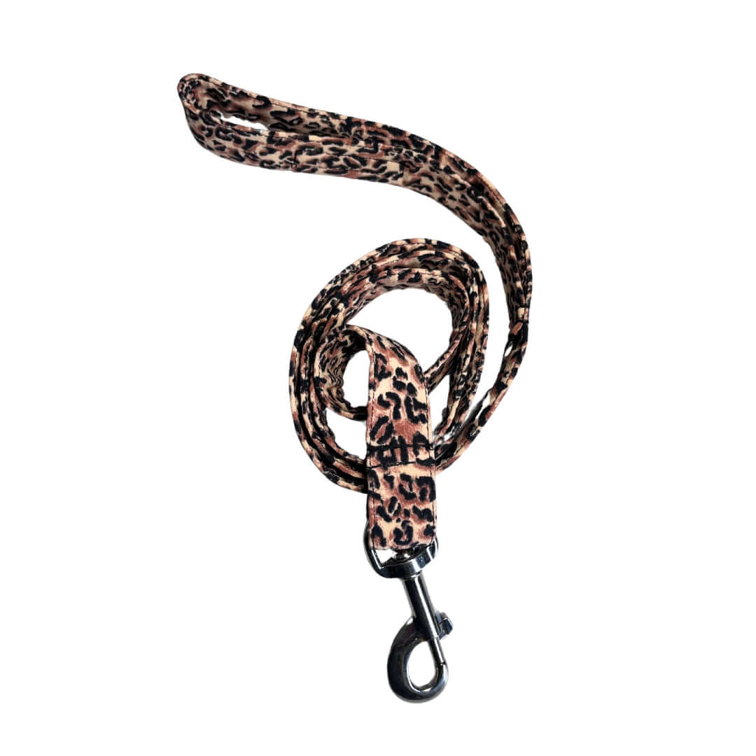 Correa para perro "Leopard" de IzalaDog. Disponible en tallas S, M, L, extra larga y multiposición para adaptarse a todas las razas y necesidades.