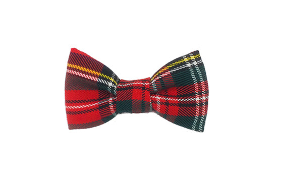 Conjunto de paseo para perro. Es un pack completo de collar, correa, popbag y pajarita