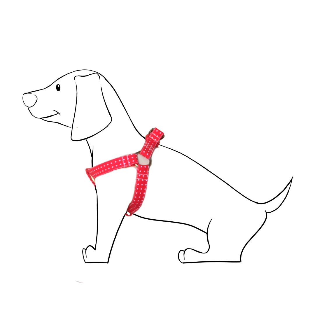 Conjunto Arnés para Perro “Rojo Topitos” – Elegancia y Comodidad en Cada Paseo