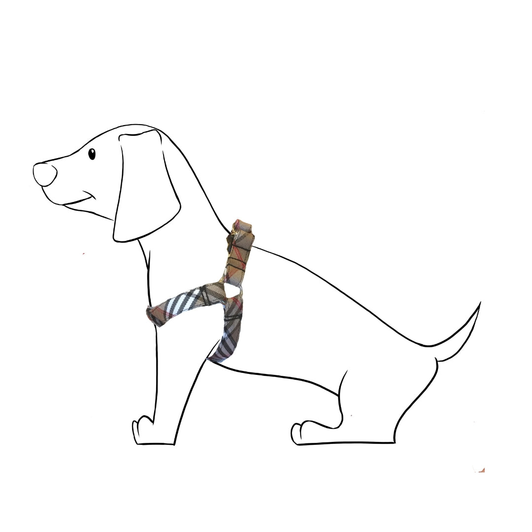 ¡Haz que tu peludo camine con estilo y comodidad! Este arnés para perro tipo cinta con diseño Berry es la opción perfecta para dueños que buscan seguridad, elegancia y practicidad en un solo producto.