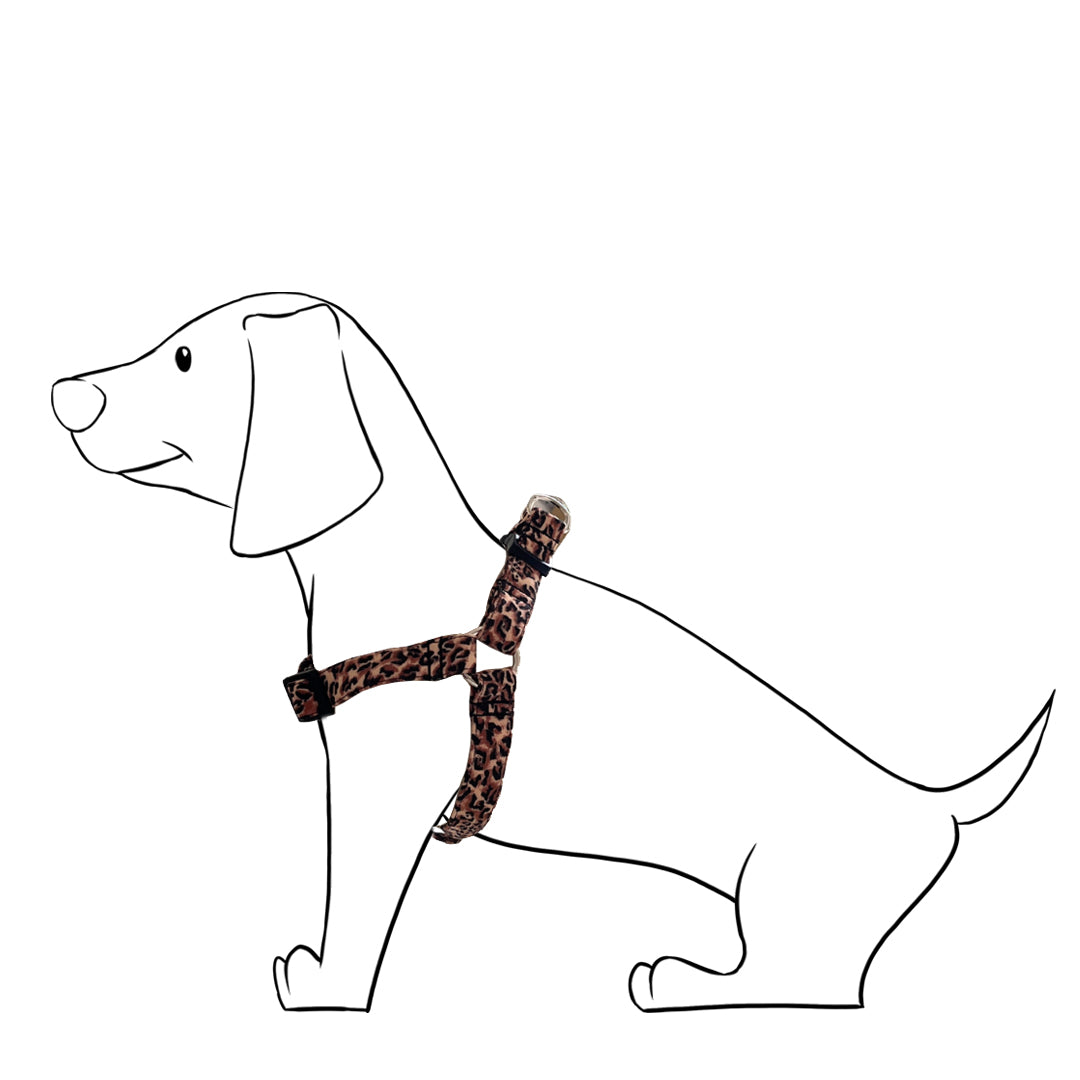 Arnés Perro - Modelo Cinta Leopard