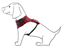 Arnés Perro estilo Body "Escocés"